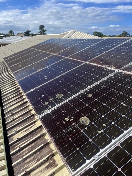 A close view of a solar panel with grime and lichen spots before cleaning